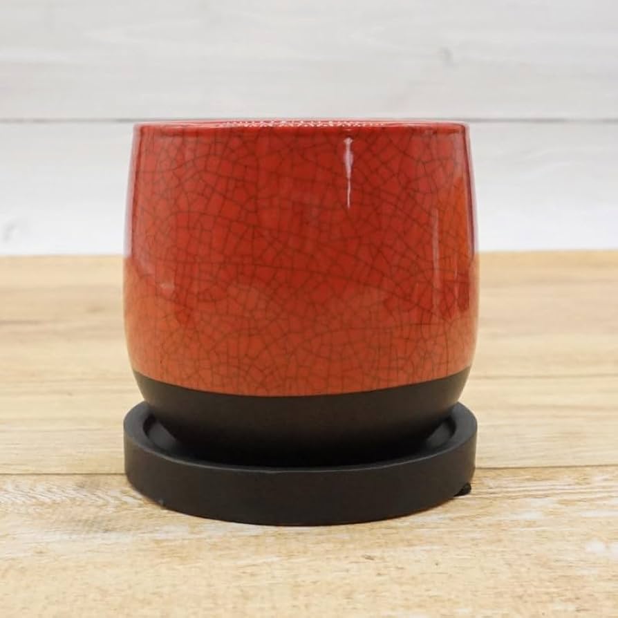 陶器　オレンジ　大きいサイズ　カワイイ　デザイン　鉢　カバー 陶器 オレンジ 大きいサイズ カワイイ デザイン 鉢 カバー